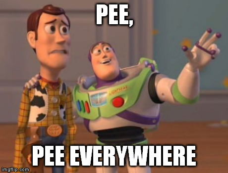 Public Toilets | PEE, PEE EVERYWHERE | image tagged in memes,x x everywhere | made w/ Imgflip meme maker