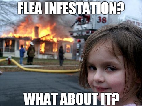 Disaster Girl | FLEA INFESTATION? WHAT ABOUT IT? | image tagged in memes,disaster girl,flea | made w/ Imgflip meme maker