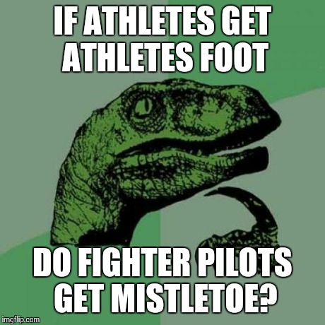 Philosoraptor | IF ATHLETES GET ATHLETES FOOT DO FIGHTER PILOTS GET MISTLETOE? | image tagged in memes,philosoraptor | made w/ Imgflip meme maker