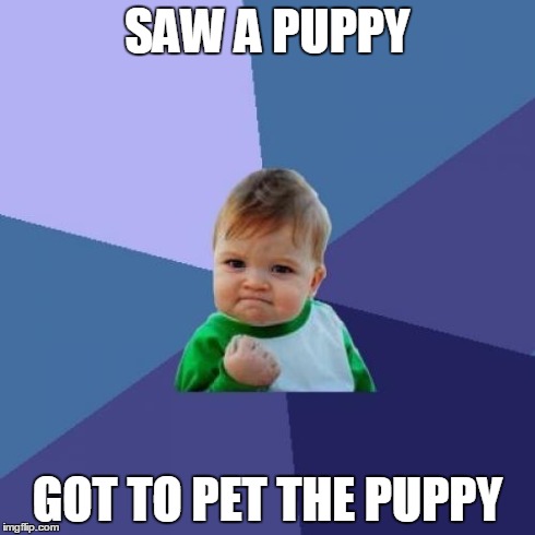 Success Kid | SAW A PUPPY GOT TO PET THE PUPPY | image tagged in memes,success kid | made w/ Imgflip meme maker