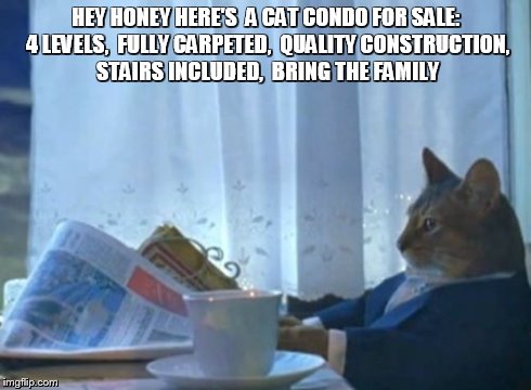 Bring The Family | HEY HONEY HERE'S  A CAT CONDO FOR SALE: 4 LEVELS,  FULLY CARPETED,  QUALITY CONSTRUCTION, STAIRS INCLUDED,  BRING THE FAMILY | image tagged in memes,i should buy a boat cat | made w/ Imgflip meme maker