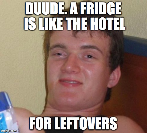 Da Fridge | DUUDE. A FRIDGE IS LIKE THE HOTEL FOR LEFTOVERS | image tagged in memes,10 guy,food | made w/ Imgflip meme maker