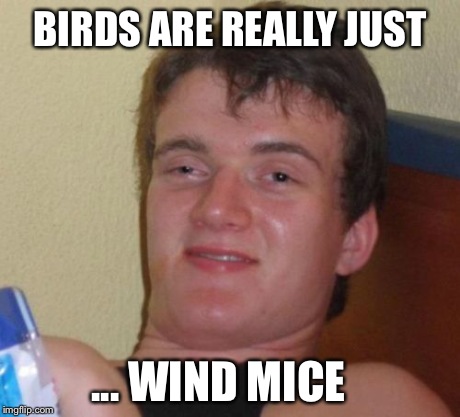 10 Guy Meme | BIRDS ARE REALLY JUST ... WIND MICE | image tagged in memes,10 guy | made w/ Imgflip meme maker