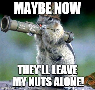 Bazooka Squirrel Meme | MAYBE NOW THEY'LL LEAVE MY NUTS ALONE! | image tagged in memes,bazooka squirrel | made w/ Imgflip meme maker