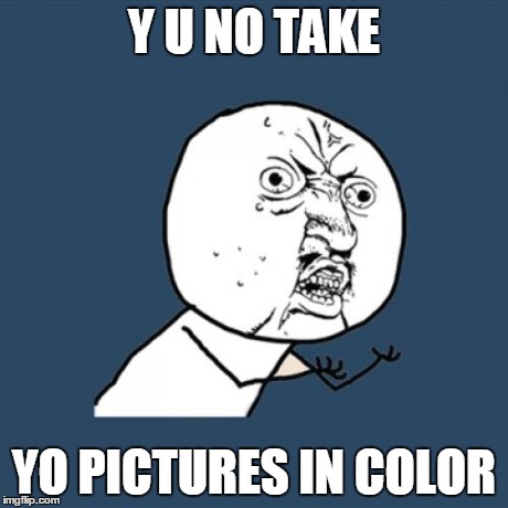 Y U No | Y U NO TAKE YO PICTURES IN COLOR | image tagged in memes,y u no | made w/ Imgflip meme maker