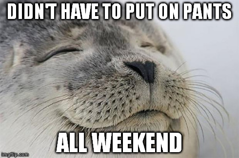 Satisfied Seal Meme | DIDN'T HAVE TO PUT ON PANTS ALL WEEKEND | image tagged in memes,satisfied seal,AdviceAnimals | made w/ Imgflip meme maker
