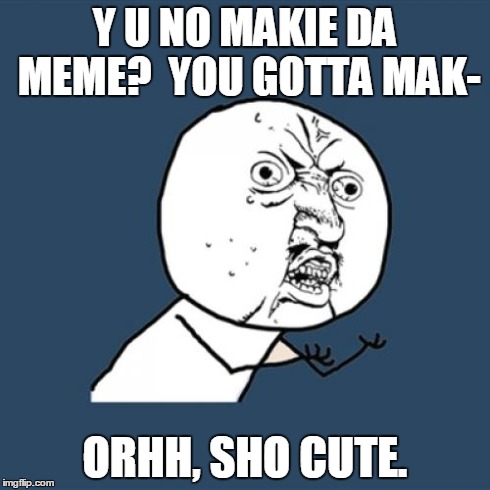 Y U No Meme | Y U NO MAKIE DA MEME?  YOU GOTTA MAK- ORHH, SHO CUTE. | image tagged in memes,y u no | made w/ Imgflip meme maker