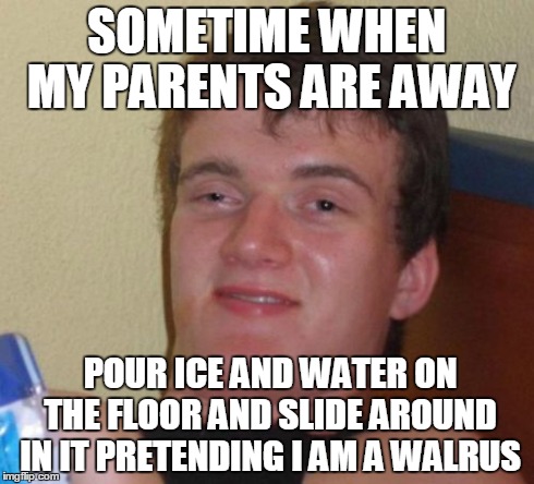 orp orp motha fuka | SOMETIME WHEN MY PARENTS ARE AWAY POUR ICE AND WATER ON THE FLOOR AND SLIDE AROUND IN IT PRETENDING I AM A WALRUS | image tagged in memes,10 guy | made w/ Imgflip meme maker