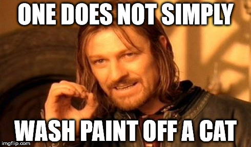 One Does Not Simply | ONE DOES NOT SIMPLY WASH PAINT OFF A CAT | image tagged in memes,one does not simply | made w/ Imgflip meme maker