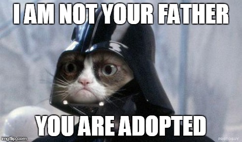 Grumpy Cat Star Wars Meme | I AM NOT YOUR FATHER YOU ARE ADOPTED | image tagged in memes,grumpy cat star wars,grumpy cat | made w/ Imgflip meme maker