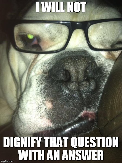 dave | I WILL NOT DIGNIFY THAT QUESTION WITH AN ANSWER | image tagged in memes,funny | made w/ Imgflip meme maker
