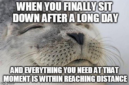 Satisfied Seal | WHEN YOU FINALLY SIT DOWN AFTER A LONG DAY AND EVERYTHING YOU NEED AT THAT MOMENT IS WITHIN REACHING DISTANCE | image tagged in memes,satisfied seal | made w/ Imgflip meme maker