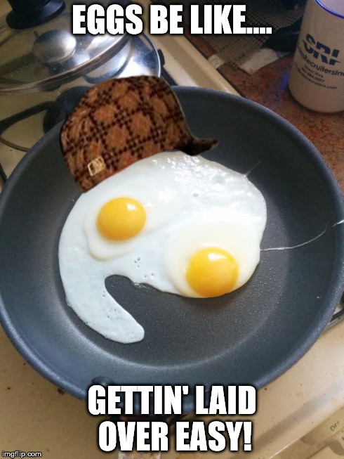 EGGS BE LIKE.... GETTIN' LAID OVER EASY! | image tagged in egghead,scumbag,funny | made w/ Imgflip meme maker