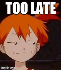 Derp Face Misty | TOO LATE | image tagged in derp face misty | made w/ Imgflip meme maker