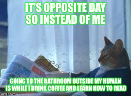 I Should Buy A Boat Cat Meme | IT'S OPPOSITE DAY SO INSTEAD OF ME GOING TO THE BATHROOM OUTSIDE MY HUMAN IS WHILE I DRINK COFFEE AND LEARN HOW TO READ | image tagged in memes,i should buy a boat cat | made w/ Imgflip meme maker