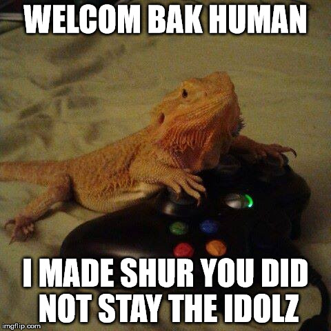 she actually moved my character a few feet | WELCOM BAK HUMAN I MADE SHUR YOU DID NOT STAY THE IDOLZ | image tagged in lizard,meme,xbox,pets | made w/ Imgflip meme maker
