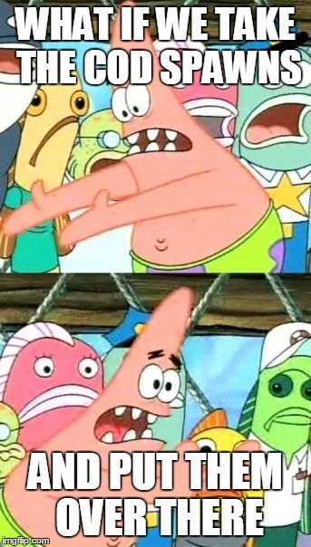 Put It Somewhere Else Patrick | WHAT IF WE TAKE THE COD SPAWNS AND PUT THEM OVER THERE | image tagged in memes,put it somewhere else patrick | made w/ Imgflip meme maker