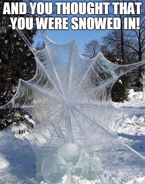 Frozen Spider Web | AND YOU THOUGHT THAT  YOU WERE SNOWED IN! | image tagged in frozen,spiders,winter | made w/ Imgflip meme maker