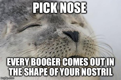 Satisfied Seal | PICK NOSE EVERY BOOGER COMES OUT IN THE SHAPE OF YOUR NOSTRIL | image tagged in memes,satisfied seal,AdviceAnimals | made w/ Imgflip meme maker