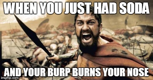 Sparta Leonidas Meme | WHEN YOU JUST HAD SODA AND YOUR BURP BURNS YOUR NOSE | image tagged in memes,sparta leonidas | made w/ Imgflip meme maker