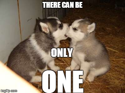 Highlander goes cross-species:  This fall on Sci-Fi | THERE CAN BE ONE ONLY | image tagged in memes,cute puppies,highlander | made w/ Imgflip meme maker