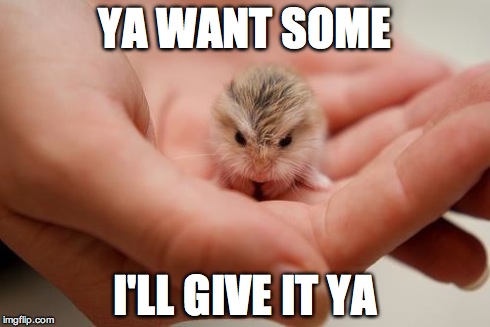 i'll 'ave ya | YA WANT SOME I'LL GIVE IT YA | image tagged in memes,hamster | made w/ Imgflip meme maker