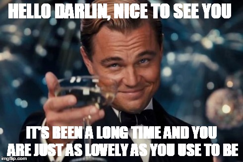 Leonardo Dicaprio Cheers Meme | HELLO DARLIN, NICE TO SEE YOU IT'S BEEN A LONG TIME AND YOU ARE JUST AS LOVELY AS YOU USE TO BE | image tagged in memes,leonardo dicaprio cheers | made w/ Imgflip meme maker