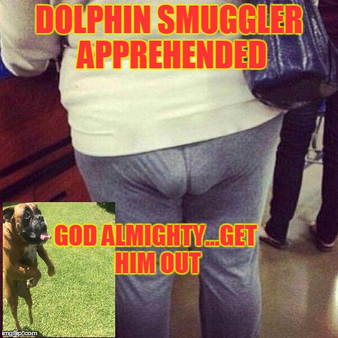smuggler | DOLPHIN SMUGGLER APPREHENDED GOD ALMIGHTY...GET HIM OUT | image tagged in funny | made w/ Imgflip meme maker