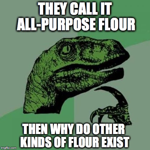 Philosoraptor | THEY CALL IT ALL-PURPOSE FLOUR THEN WHY DO OTHER KINDS OF FLOUR EXIST | image tagged in memes,philosoraptor | made w/ Imgflip meme maker