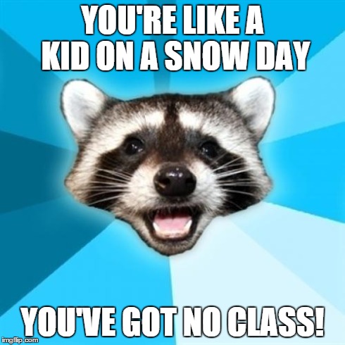 Why didn't I think of this sooner? | YOU'RE LIKE A KID ON A SNOW DAY YOU'VE GOT NO CLASS! | image tagged in memes,bad pun,raccoon | made w/ Imgflip meme maker
