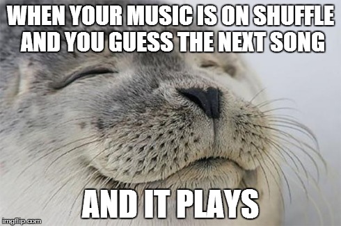Satisfied Seal | WHEN YOUR MUSIC IS ON SHUFFLE AND YOU GUESS THE NEXT SONG AND IT PLAYS | image tagged in memes,satisfied seal | made w/ Imgflip meme maker