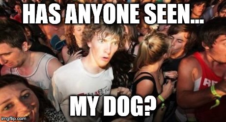 Sudden Clarity Clarence | HAS ANYONE SEEN... MY DOG? | image tagged in memes,sudden clarity clarence | made w/ Imgflip meme maker