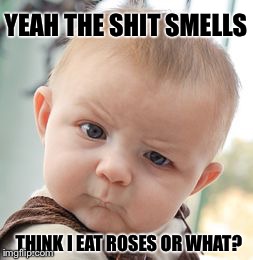 Skeptical Baby Meme | YEAH THE SHIT SMELLS THINK I EAT ROSES OR WHAT? | image tagged in memes,skeptical baby | made w/ Imgflip meme maker