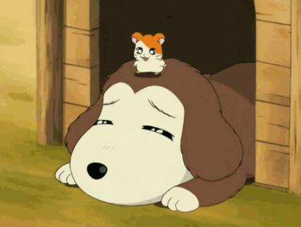 Hamtaro-dog Blank Meme Template