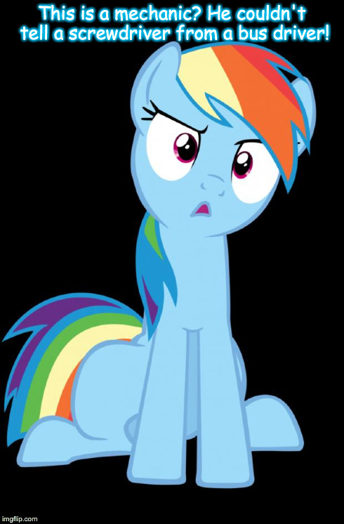 Confused Rainbow Dash | This is a mechanic? He couldn't tell a screwdriver from a bus driver! | image tagged in confused rainbow dash | made w/ Imgflip meme maker
