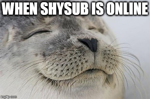 Chaturbaters will relate | WHEN SHYSUB IS ONLINE | image tagged in memes,satisfied seal | made w/ Imgflip meme maker