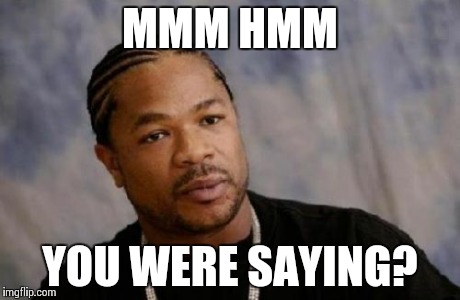 Serious Xzibit | MMM HMM YOU WERE SAYING? | image tagged in memes,serious xzibit | made w/ Imgflip meme maker