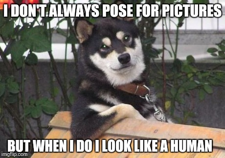 I DON'T ALWAYS POSE FOR PICTURES BUT WHEN I DO I LOOK LIKE A HUMAN | image tagged in vet day | made w/ Imgflip meme maker