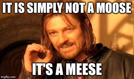 One Does Not Simply Meme | IT IS SIMPLY NOT A MOOSE IT'S A MEESE | image tagged in memes,one does not simply | made w/ Imgflip meme maker