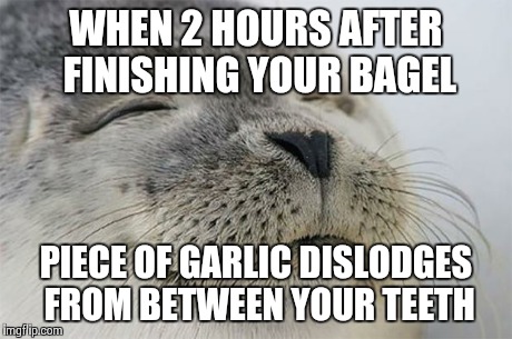 Satisfied Seal Meme | WHEN 2 HOURS AFTER FINISHING YOUR BAGEL PIECE OF GARLIC DISLODGES FROM BETWEEN YOUR TEETH | image tagged in memes,satisfied seal | made w/ Imgflip meme maker