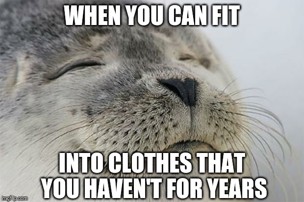 Progress | WHEN YOU CAN FIT INTO CLOTHES THAT YOU HAVEN'T FOR YEARS | image tagged in memes,satisfied seal | made w/ Imgflip meme maker
