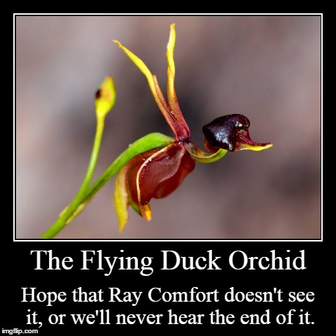 image tagged in funny,demotivationals | made w/ Imgflip demotivational maker