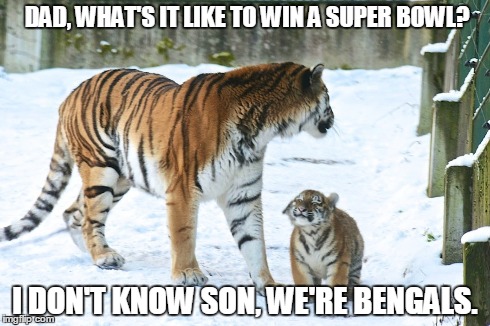 DAD, WHAT'S IT LIKE TO WIN A SUPER BOWL? I DON'T KNOW SON, WE'RE BENGALS. | made w/ Imgflip meme maker