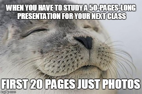 Satisfied Seal Meme | WHEN YOU HAVE TO STUDY A 50-PAGES-LONG PRESENTATION FOR YOUR NEXT CLASS FIRST 20 PAGES JUST PHOTOS | image tagged in memes,satisfied seal | made w/ Imgflip meme maker
