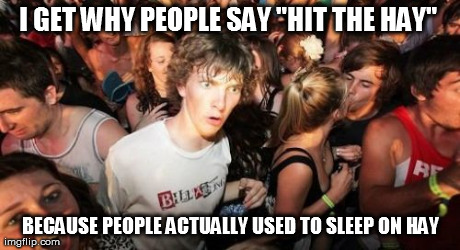 Sudden Clarity Clarence Meme | I GET WHY PEOPLE SAY "HIT THE HAY"  BECAUSE PEOPLE ACTUALLY USED TO SLEEP ON HAY | image tagged in memes,sudden clarity clarence | made w/ Imgflip meme maker