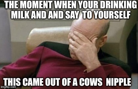 Captain Picard Facepalm | THE MOMENT WHEN YOUR DRINKING MILK AND AND SAY  TO YOURSELF THIS CAME OUT OF A COWS  NIPPLE | image tagged in memes,captain picard facepalm | made w/ Imgflip meme maker