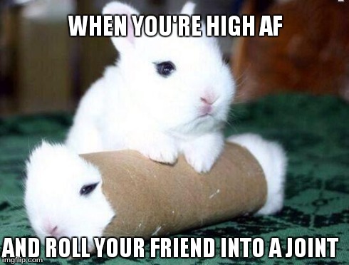 WHEN YOU'RE HIGH AF AND ROLL YOUR FRIEND INTO A JOINT | image tagged in high,weed,funny,humor,silly | made w/ Imgflip meme maker
