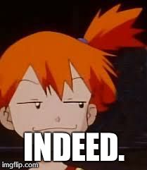 Derp Face Misty | INDEED. | image tagged in derp face misty | made w/ Imgflip meme maker