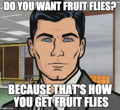 Archer Meme | DO YOU WANT FRUIT FLIES? BECAUSE THAT'S HOW YOU GET FRUIT FLIES | image tagged in memes,archer | made w/ Imgflip meme maker