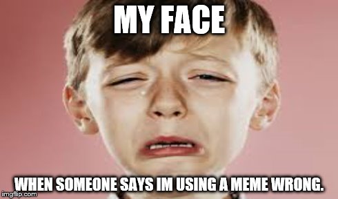 Winning | MY FACE WHEN SOMEONE SAYS IM USING A MEME WRONG. | image tagged in funny | made w/ Imgflip meme maker